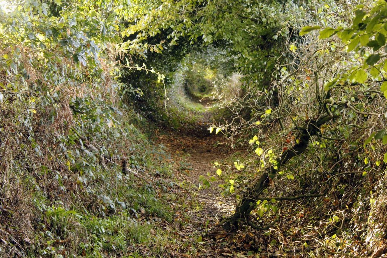 Relais De La Tour Διαμέρισμα Callac Εξωτερικό φωτογραφία