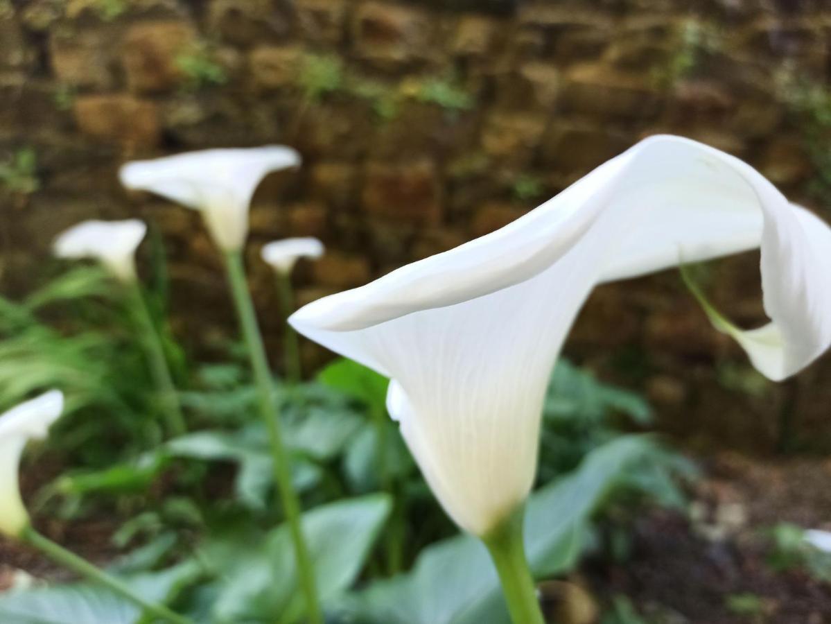 Relais De La Tour Διαμέρισμα Callac Εξωτερικό φωτογραφία